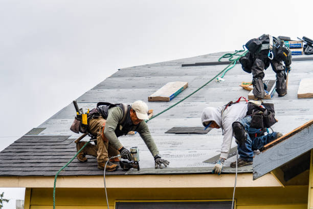 Professional Roofing technician working in Nordman, ID